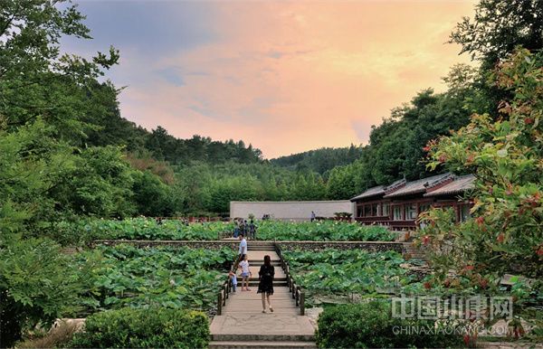 河南省最新旅游村庄，探索乡村新魅力